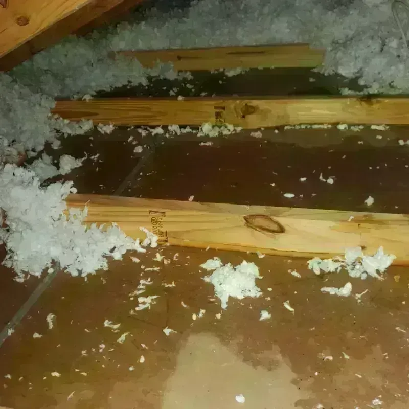 Attic Water Damage in Lompoc, CA